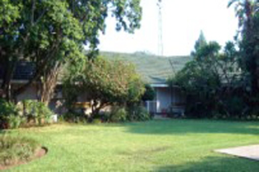 Garden with tropical flora